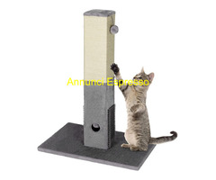 Tiragrafi gatto e fontanella acqua