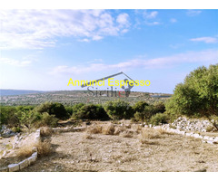  Vendita Villa/Casa singola 140 mq 