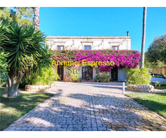  Vendita Villa/Casa singola 1000 mq 