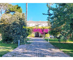  Vendita Villa/Casa singola 1000 mq 