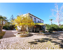  Vendita Villa/Casa singola 1000 mq 