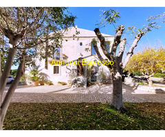  Vendita Villa/Casa singola 1000 mq 