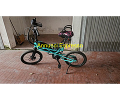 Ebike trilix