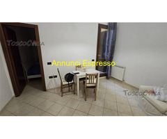 SANTA CROCE SULL'ARNO Affitto Appartamento 45 mq 
