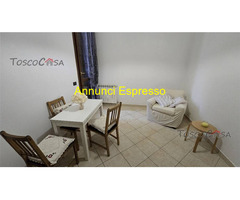SANTA CROCE SULL'ARNO Affitto Appartamento 45 mq 