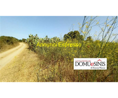  Vendita Terreno 2500 mq 