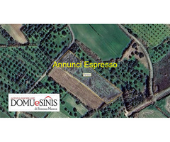 Vendita Terreno 5500 mq 