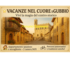 Affitto appartamento ideale pervisitare una nuova città mq83 numero localicinque