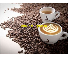 Bar WASHINGTON - ELBA mq60 Professionale