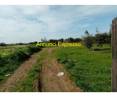 Affitto terreno edificabile mq8100 Privato