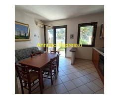 Torregrande Affitto Appartamento 50 mq 