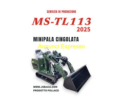 Autocarro con cassone ribaltabile per escavatore