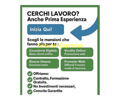 Bruno & Milano ltd cerca  Più mansioni disponibili nel settore Customer Service con  esperienza