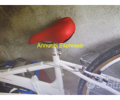 M.t.bike SEMI-PROFESSIONAL DELLA PINFARINA PIEGHEV