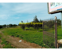 Affitto terreno edificabile mq8100 Privato