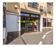 Show room Parco Dora mq1200 Professionale