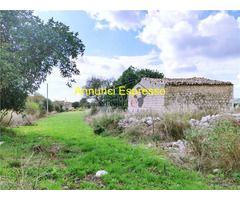  Vendita Villa/Casa singola 110 mq 