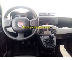 FIAT Panda 3ª serie Panda 1200 b versione Lounge E6 Utilitaria