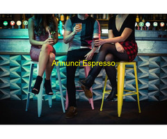 Bar TICINESE mq110 Professionale