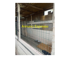 Affitto terreno non edificabile mq15 Privato