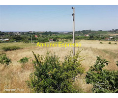  Vendita Terreno 1498 mq 