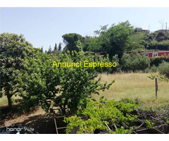  Vendita Terreno 1498 mq 