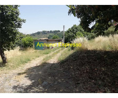  Vendita Terreno 15023 mq 