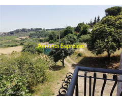  Vendita Terreno 15023 mq 