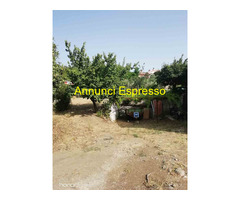  Vendita Terreno 15023 mq 