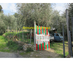 Terreno edificabile mq1070 Privato