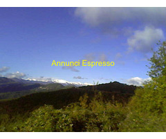 Terreno coltivabile mq3250 Privato