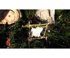 RANCH -TEPEE-CARRO-CANOA-Concia Pelli-Arredamento