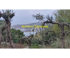 Terreno edificabile mq2500 Privato