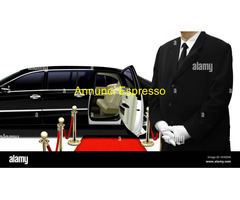 Autista cerca  trasporto privato nel settore Automotive con  esperienza