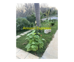 Terreno non edificabile mq7000 Privato