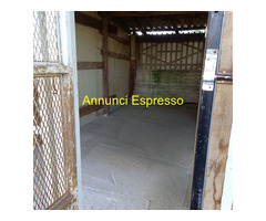 Affitto terreno non edificabile mq15 Privato