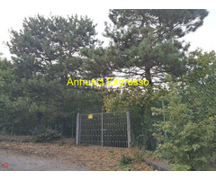 Rustico mq45 Da ristrutturare piano terra