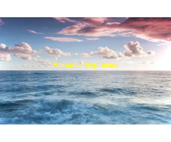 Abicert cerca  Promoter Modella Hostess  nel settore Ingegneria - Architettura con  esperienza