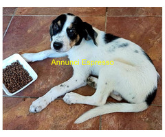 In regalo LAYKA 5 mesi futura tg media