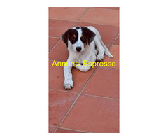 In regalo LAYKA 5 mesi futura tg media