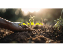 Talentform SpA cerca  Docente nel settore Formazione con  esperienza