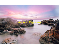 Abicert cerca  Impiegata Lingua Tedesca nel settore Ingegneria - Architettura con  esperienza