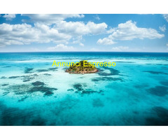 Logic Music Studios cerca  Modella Hostess PR nel settore Ingegneria - Architettura con  esperienza