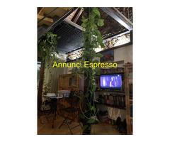 Unchio Vendita Appartamento 67 mq 