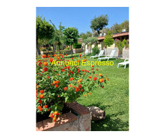 Camera inHotel Hotel villaggio TabÃ¹  prezzo per persona €35