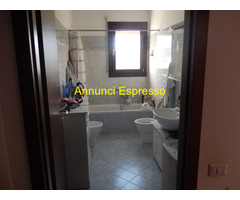 Posto letto instanza doppia Bicocca - Greco mq25 affitto Euro400