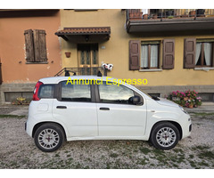 FIAT Panda 3ª serie 1.2 Easy Berlina