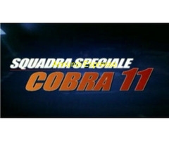 Squadra Speciale Cobra 11 26 Stagioni e Sezione