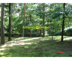 Terreno edificabile mq3600 Privato