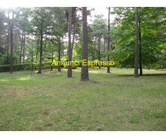 Terreno edificabile mq3600 Privato